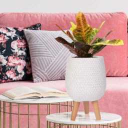 wilko Honeycomb White Indoor Plant Pot with Legs 34cm - Instadecor - thumbnail 6