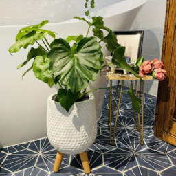 wilko Honeycomb White Indoor Plant Pot with Legs 34cm - Instadecor - thumbnail 7
