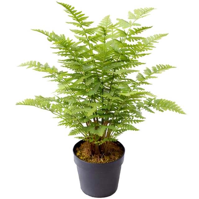 Botanik White Ceramic Planter with Metal Stand 18 x 17cm - Size: 18 x 17 x 17cm - Wilko - image 1