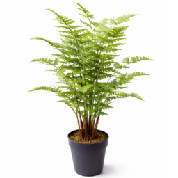 Botanik White Ceramic Planter with Metal Stand 18 x 17cm - Size: 18 x 17 x 17cm - Wilko - thumbnail 3