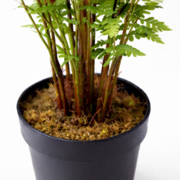 Botanik White Ceramic Planter with Metal Stand 18 x 17cm - Size: 18 x 17 x 17cm - Wilko - thumbnail 5