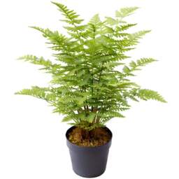 Botanik White Ceramic Planter with Metal Stand 18 x 17cm - Size: 18 x 17 x 17cm - Wilko - thumbnail 1
