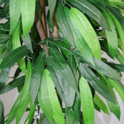 Leaf Mango Artificial Tree with Green Wood 120cm - Size: 120 x 70 x 70cm - Wilko - thumbnail 4