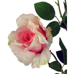 Leaf Pink Rose Artificial Stem 80cm 6 Pack - Size: 80 x 20 x 20cm - Wilko - thumbnail 5