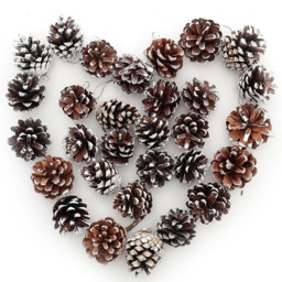 Living and Home Dyed Pine Cone Ornament 30 Pack - Brown - Wilko - thumbnail 5