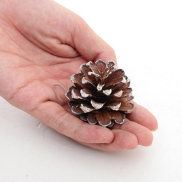 Living and Home Dyed Pine Cone Ornament 30 Pack - Brown - Wilko - thumbnail 7