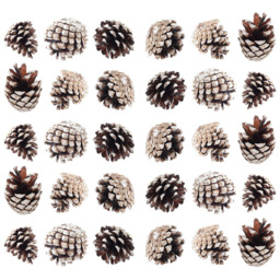 Living and Home Dyed Pine Cone Ornament 30 Pack - Brown - Wilko - thumbnail 1