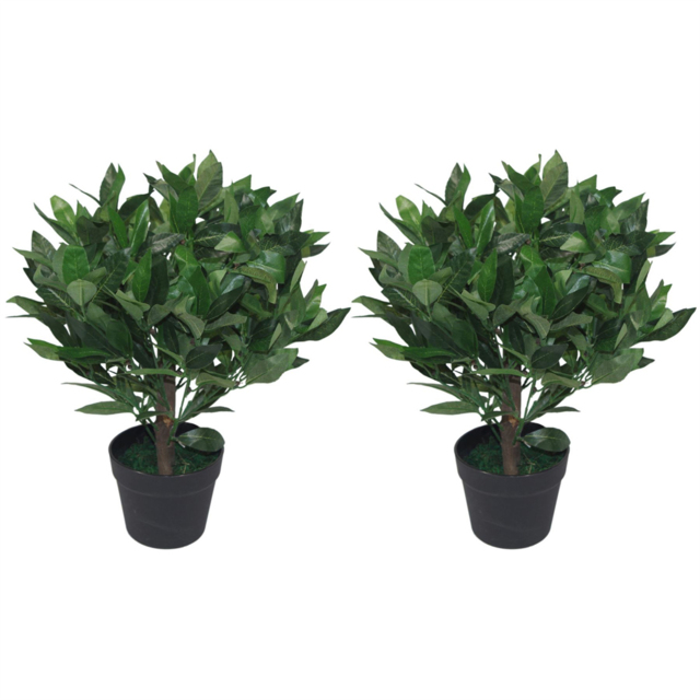 Leaf Artificial Dwarf Bay Laurel Topiary Tree 50cm 2 Pack - Size: 50 x 50 x 50cm - Green - Wilko - image 1