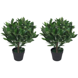 Leaf Artificial Dwarf Bay Laurel Topiary Tree 50cm 2 Pack - Size: 50 x 50 x 50cm - Green - Wilko - thumbnail 1