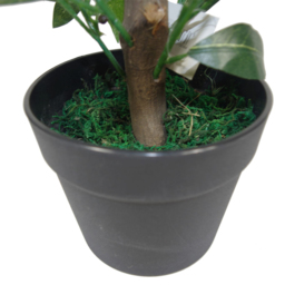 Leaf Artificial Dwarf Bay Laurel Topiary Tree 50cm 2 Pack - Size: 50 x 50 x 50cm - Green - Wilko - thumbnail 4