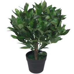Leaf Artificial Dwarf Bay Laurel Topiary Tree 50cm 2 Pack - Size: 50 x 50 x 50cm - Green - Wilko - thumbnail 3