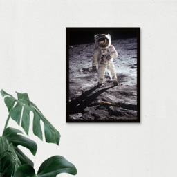 Artery8 NASA Apollo 11 Astronaut Moon Landing Anniversary Framed Wall Art Print 30 x 41cm - Size: 43.3 x 33.3 x 1.5cm - Grey - Wilko - thumbnail 4