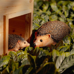 Marco Paul 2 Piece Hedgehog Garden Ornament - Size: 30 x 20 x 10cm - Brown - Wilko - thumbnail 6