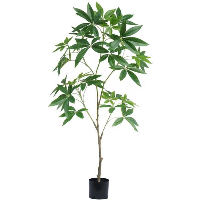 Botanik Pachira Money Tree Artificial Plant in Pot 4ft - Size: 120 x 50 x 50cm - Green - Wilko - image 1