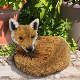 Avilo Curled Up Fox Decoration - Size: 19.5 x 27.5 x 23.2cm - n/a - Wilko - thumbnail 3