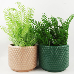 Botanik Pink Dots Ceramic Planter 12.5 x 15cm - Size: 12.5 x 15 x 15cm - Orange - Wilko - thumbnail 3