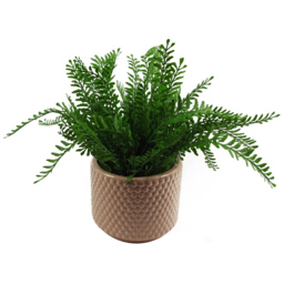 Botanik Pink Dots Ceramic Planter 12.5 x 15cm - Size: 12.5 x 15 x 15cm - Orange - Wilko - thumbnail 6