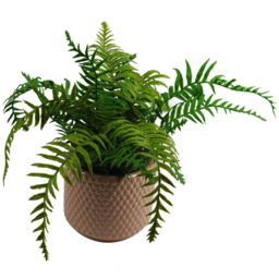 Botanik Pink Dots Ceramic Planter 12.5 x 15cm - Size: 12.5 x 15 x 15cm - Orange - Wilko - thumbnail 5