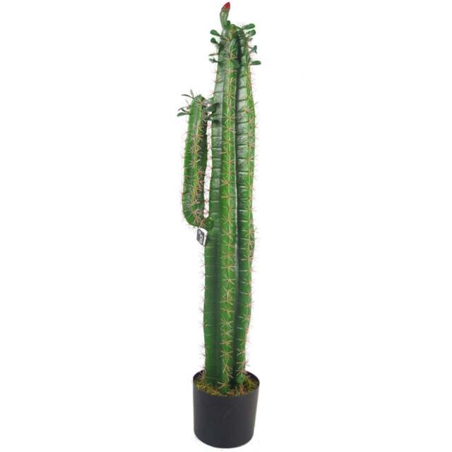 Leaf Cactus Artificial Plant in Pot 110cm - Size: 100 x 22 x 22cm - Green - Wilko - image 1