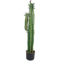 Leaf Cactus Artificial Plant in Pot 110cm - Size: 100 x 22 x 22cm - Green - Wilko - thumbnail 1