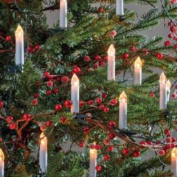 Samuel Alexander 30 Warm White LED Candle Green String Light 7m - Size: 5 x 12 x 5cm - Ivory - Wilko - thumbnail 4