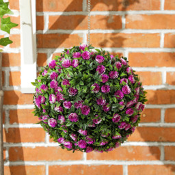 Portland Purple Rose Artificial Plant Hanging Topiary Ball 2 Pack - Size: 28 x 28 x 28cm - Wilko - thumbnail 5