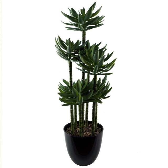 Leaf Tropical Yukka Artificial Plant in Planter 60cm - Size: 60 x 25 x 25cm - Black - Wilko - image 1