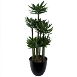 Leaf Tropical Yukka Artificial Plant in Planter 60cm - Size: 60 x 25 x 25cm - Black - Wilko - thumbnail 1