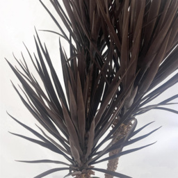 Leaf Dark Brown and Red XL Spiky Triple Yukka Artificial Tree Pot 5ft - Size: 155 x 60 x 60cm - Wilko - thumbnail 3
