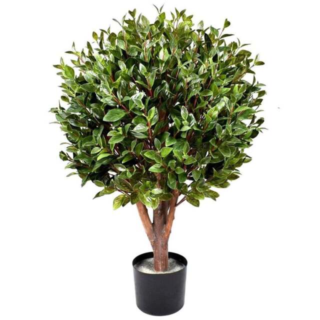 Botanik Artificial Gloxinia Ball Topiary 50cm - Size: 90 x 50 x 50cm - Green - Wilko - image 1