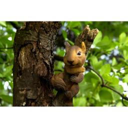 Marco Paul Squirrel Tree Hugger Garden Ornament - Size: 30 x 20 x 10cm - Brown - Wilko - thumbnail 5