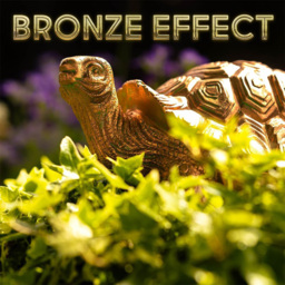 Marco Paul Bronze Tortoise Family Garden Ornament - Size: 29.5 x 18 x 31.5cm - Yellow - Wilko - thumbnail 5