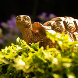 Marco Paul Bronze Tortoise Family Garden Ornament - Size: 29.5 x 18 x 31.5cm - Yellow - Wilko - thumbnail 4