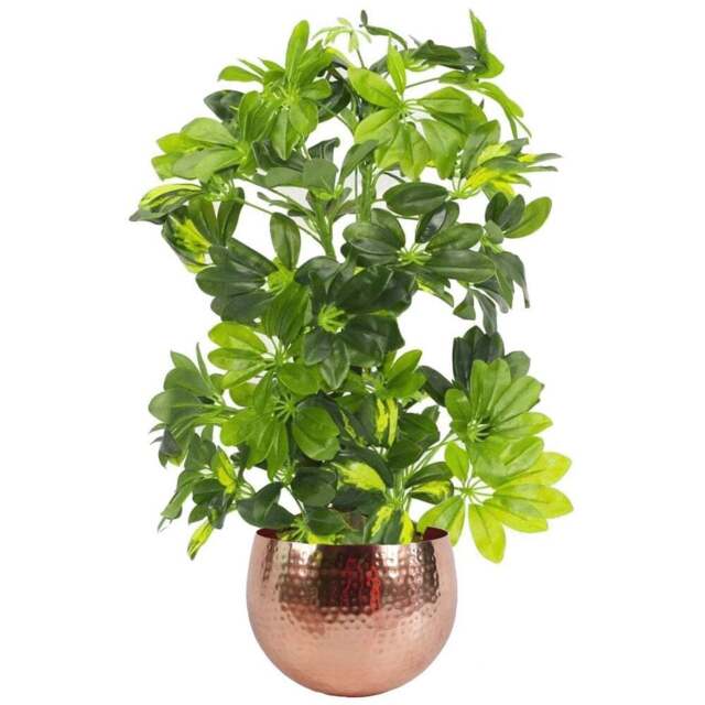 Botanik Gold Capella Artificial Plant in Copper Planter 2.5ft - Size: 65 x 45 x 45cm - Green - Wilko - image 1