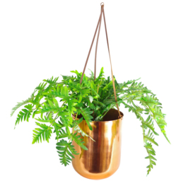 Leaf Artificial Evergreen Fern Plant in Hanging Copper Planter 60cm - Size: 60 x 70 x 70cm - Wilko - thumbnail 1