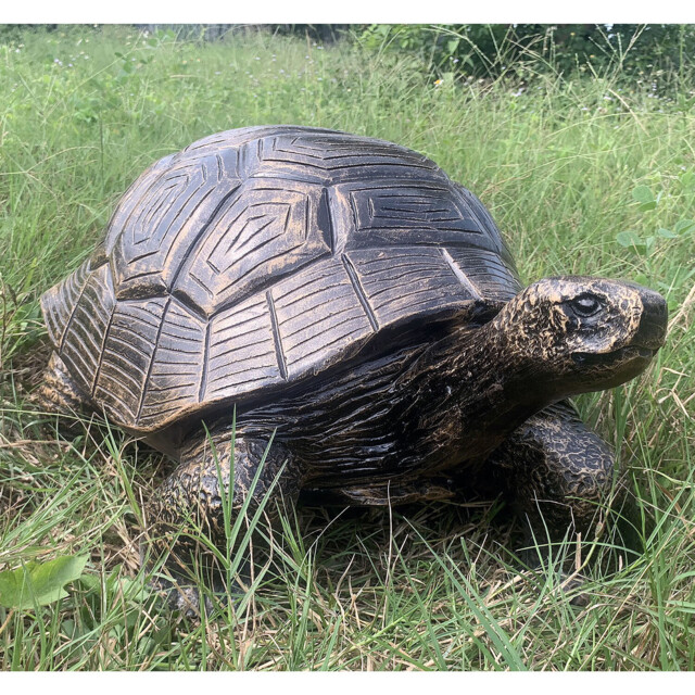 Tortoise Statue - Bronze - Wilko - image 1
