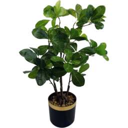 Leaf Tropical Bonsai Ficus Artificial Tree 60cm - Size: 60 x 30 x 30cm - Green - Wilko - thumbnail 1