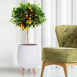 wilko Honeycomb White Indoor Plant Pot with Legs 43cm - Instadecor - thumbnail 3