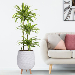 wilko Honeycomb White Indoor Plant Pot with Legs 43cm - Instadecor - thumbnail 4