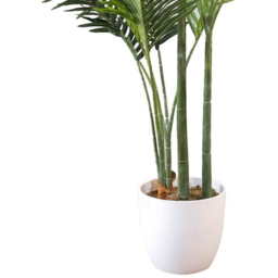 Leaf Lush Green Palm Artificial Tree in Pot 5ft - Size: 160 x 100 x 100cm - Wilko - thumbnail 5