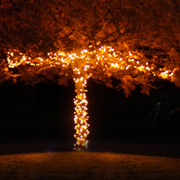 Eagle Connect 500 Gold LED Black Cluster Light 10m - Size: 0 x 1000 x 0cm - Wilko - thumbnail 5