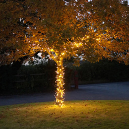 Eagle Connect 500 Gold LED Black Cluster Light 10m - Size: 0 x 1000 x 0cm - Wilko - thumbnail 6