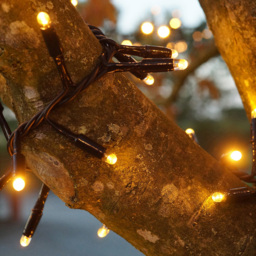 Eagle Connect 500 Gold LED Black Cluster Light 10m - Size: 0 x 1000 x 0cm - Wilko - thumbnail 4