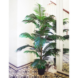 Botanik Areca Palm Artificial Tree in Pot 5ft - Size: 140 x 80 x 80cm - Green - Wilko - thumbnail 3