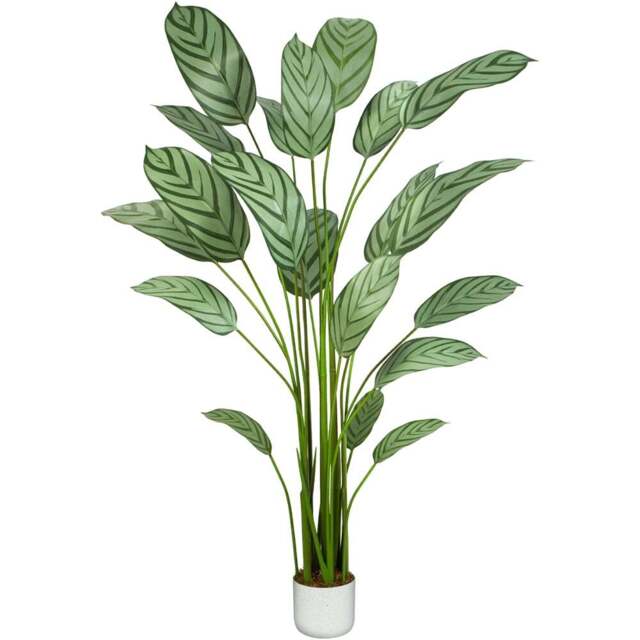 Bird of Paradise Artificial Indoor Plant 160cm - Size: 160 x 30 x 30cm - Green - MCC - Wilko - image 1