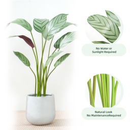 Bird of Paradise Artificial Indoor Plant 160cm - Size: 160 x 30 x 30cm - Green - MCC - Wilko - thumbnail 5