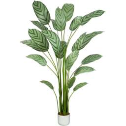 Bird of Paradise Artificial Indoor Plant 160cm - Size: 160 x 30 x 30cm - Green - MCC - Wilko - thumbnail 1