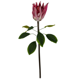 Leaf Pink Protea Sugarbush Stem Artificial Flower 6 pack - Size: 65 x 25 x 25cm - Wilko - thumbnail 4