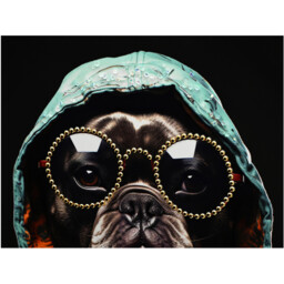 Glossy Jewelled Street Style Dog Canvas - Multicolour - Wilko - thumbnail 7
