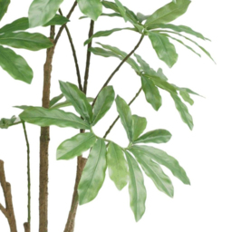 Botanik Dwarf Umbrella Artificial Tree in Pot 5ft - Size: 150 x 80 x 80cm - Green - Wilko - thumbnail 3